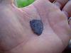FOund small thin chuncks of metal coming out exhaust-dsc01648.jpg