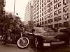 Nice day for some funn pics....-dsc01033.jpg