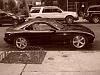 Nice day for some funn pics....-dsc01030.jpg