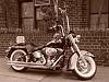 Nice day for some funn pics....-dsc01018.jpg