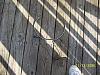 What lines are these?-100_0913.jpg
