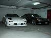 My 2 Babies ... Pics.-cimg2927.jpg