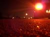 Pics from this week-moonlight.jpg