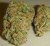 A sexy pic i had to post-crystal-8.jpg