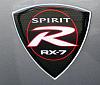 spirit r.gif-spr20.jpg