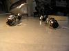 Fed up with this car-img_1977-65.jpg