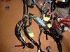 Dash harness different from R1 and tourning?-1.jpg