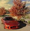 Poll: Best color for a FD-front.jpg