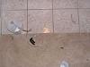 looking for intercooler water sprayer-pict0762.jpg