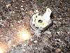 DEAD cigarette lighter but good Cigar fuse-dscf0777.jpg