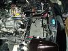 New electrical kit?-car-engine-bay-040.jpg