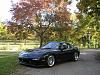 Scenic pictures with Seibon CF hood-13a.jpg