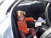 Baby in the back?-100_4049.jpg