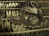 A barrage of questions.-radiatorclose2.jpg
