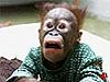 Hole drilled through trunk and gastank?!?!?!-wtf-.jpg