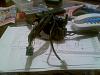 Can someone help me find my Horn wire - PLEASE-image011-large-.jpg