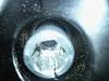 Any Ideas - piece of ******-photo240.jpg