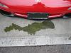 coolant puddle with stray nut?-l.jpg