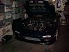 Hawaii Supra7-mvc-685s.jpg
