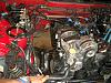 Oil leak related to my OMP Lines?-line.jpg