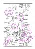 ? replacing turbo gaskets, oil lines, and hoses when installing a short-block ?-fd-twin-turbo-replacements.jpg