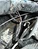 My car on fire!-p1040803-small-.jpg
