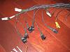 Value of Haltech Wiring Harness-img_1011.jpg
