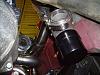 bov???-erwin-003.jpg