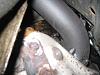 turbo oil leak (Pictures)-img_1123.jpg