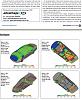 The Great FD3S Under-body Aerodynamics Thread: Photos, Products, Ideas, Results-rce-underbody-pg2.jpg