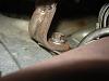downpipe hanger-dsc01231.jpg