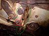 Another boost issue question. Can anyone help?-img00151-20100407-16141.jpg