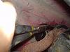 DaleClark's 20 minute fuel filter change-dsc00123.jpg