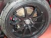 Saturday Morning Jan 15th 2011-dsc00679.jpg