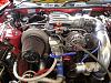 Saturday Morning Jan 15th 2011-dsc00691.jpg
