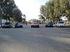 Saturday Morning Jan 15th 2011-dsc00704.jpg