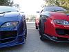 Saturday Morning Jan 15th 2011-dsc00713.jpg
