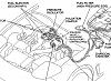 FD Gurus: where do these go? Picture attached!-fuel-line.jpg
