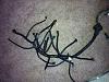 Engine Harness Rewrapped-photo.jpg