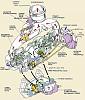 Stock Twins dead?-turbo-diagram.jpg