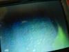 Confirm that a coolant seal is blown!?-dscn1985.jpg