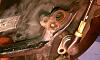 Steering knuckle removal - a few questions-imag1227.jpg