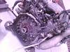 transmission rear seal part number-img0340a.jpg