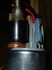 Walbro 400 LPH Fuel Pump-p1000913.jpg