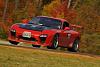 2013 FD Calendar Picture Submittal-chin-oak-tree-fall-colors-sm.jpg
