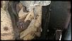 BOV issue-dsc_0189.jpg