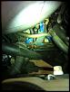 Please help identify oil leak location-image-2945613800.jpg