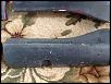 OEM Side Skirts-img_1486.jpg