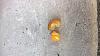 Retainer attaching brake pedal to the brake light switch?-wp_20150617_19_27_26_pro.jpg