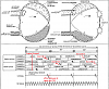Firing order: Should the front rotor fire first every time?-cranking_timing.png